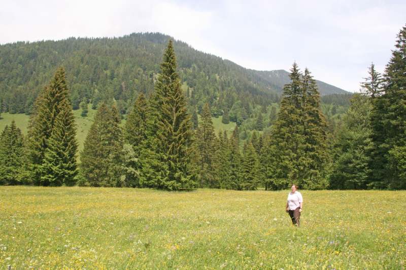 Neuschwanstein juni 2011 - 126